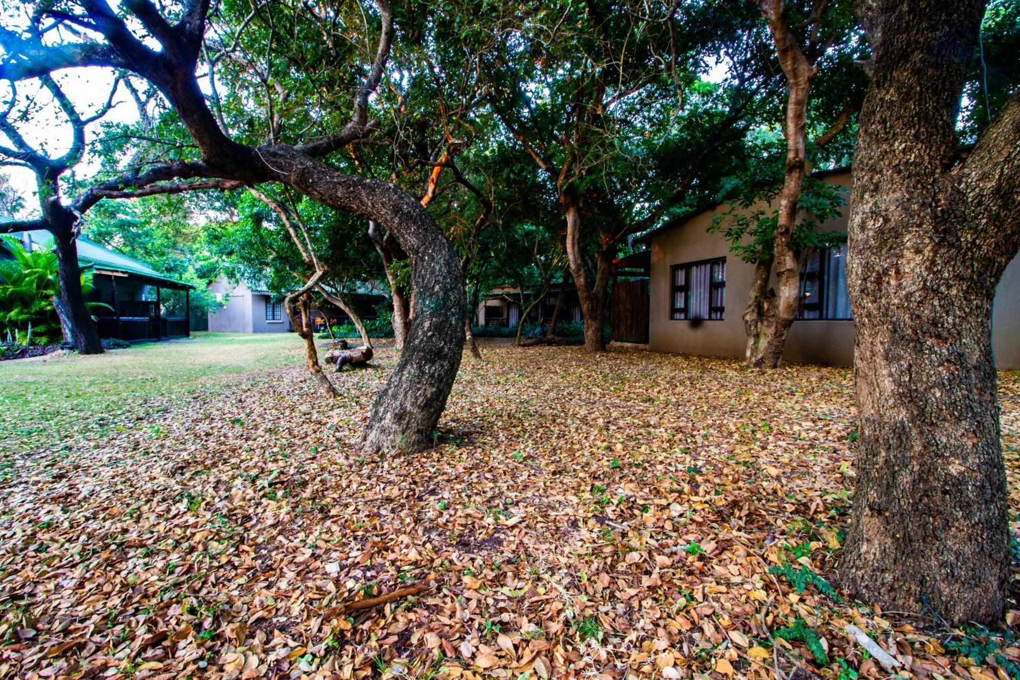 Emdoneni Lodge With Zululand Cat Conservation Project Hluhluwe Exterior foto
